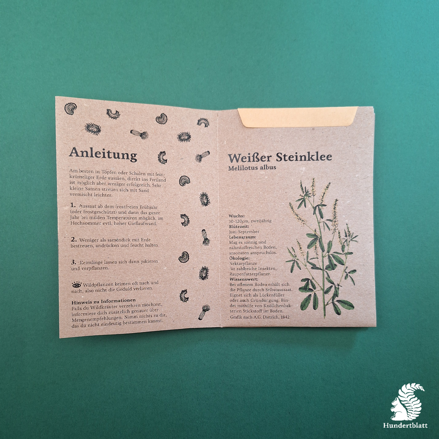 Wiesenköniginnen Saatheft