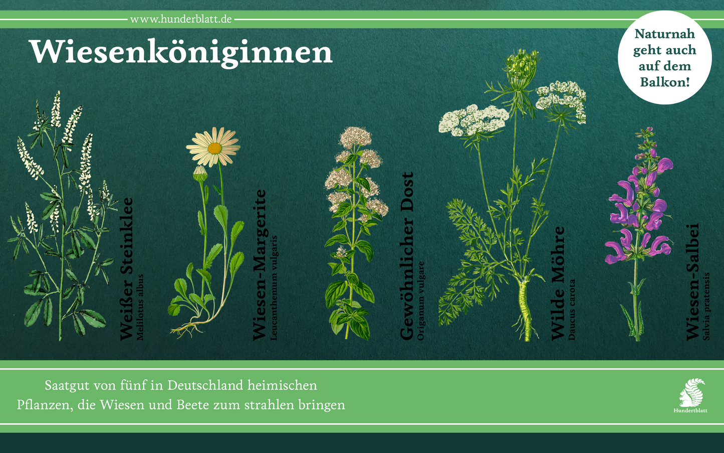 Wiesenköniginnen Saatheft