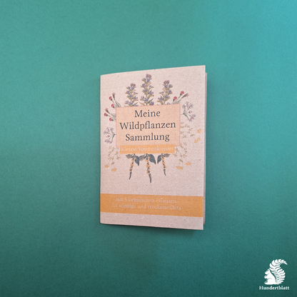 Kleine Sonnenkinder Saatheft