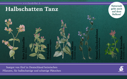 Schattentanz Saatheft