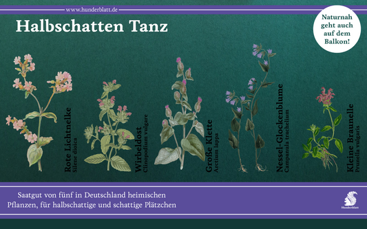 Schattentanz Saatheft