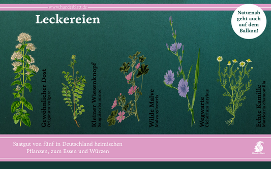 Leckereien Saatheft